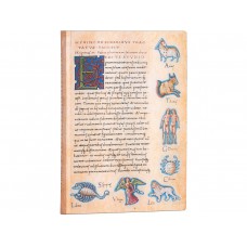 Записник Paperblanks Астрономіка – De Sideribus Tractatus / середній Лінійка Flexi 176 ст.