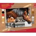 Набор для творчества Sequin Art PAINTING BY NUMBERS SENIOR Stable Dooor Trio SA1523