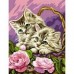 Набір для творчості Sequin Art PAINTING BY NUMBERS JUNIOR Floral Kittens SA1041