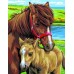 Набір для творчості Sequin Art PAINTING BY NUMBERS JUNIOR-PAIRS Horses SA0215