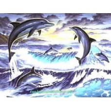 Набір для творчості Sequin Art PAINTING BY NUMBERS SENIOR Dolphin Sunrise SA0563