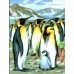 Набір для творчості Sequin Art PAINTING BY NUMBERS JUNIOR Penguins SA0033