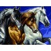 Набор для творчества Sequin Art PAINTING BY NUMBERS SENIOR Wild Horses SA1040