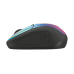 Мышь TRUST Primo Wireless Mouse