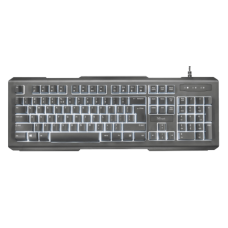 Клавиатура TRUST Lito backlit multimedia keyboard